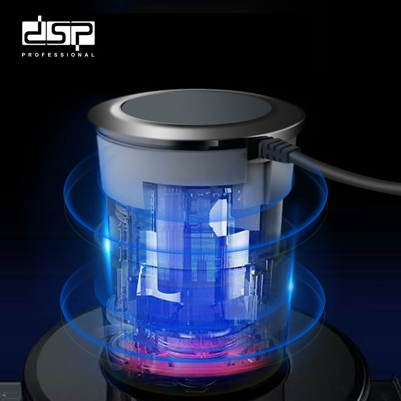 DSP Dansong 2L stainless steel household small multi-function food supplement cooking machine mixing minced meat grinder
