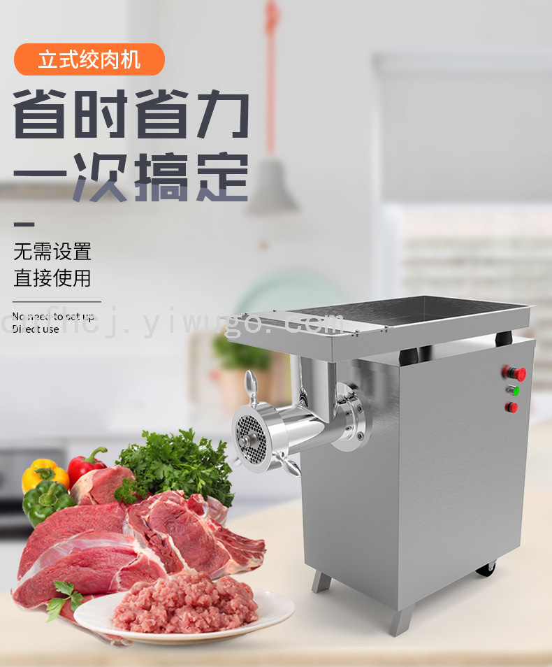 TS-32A Type Luxury Vertical Stainless Steel Meat Grinder