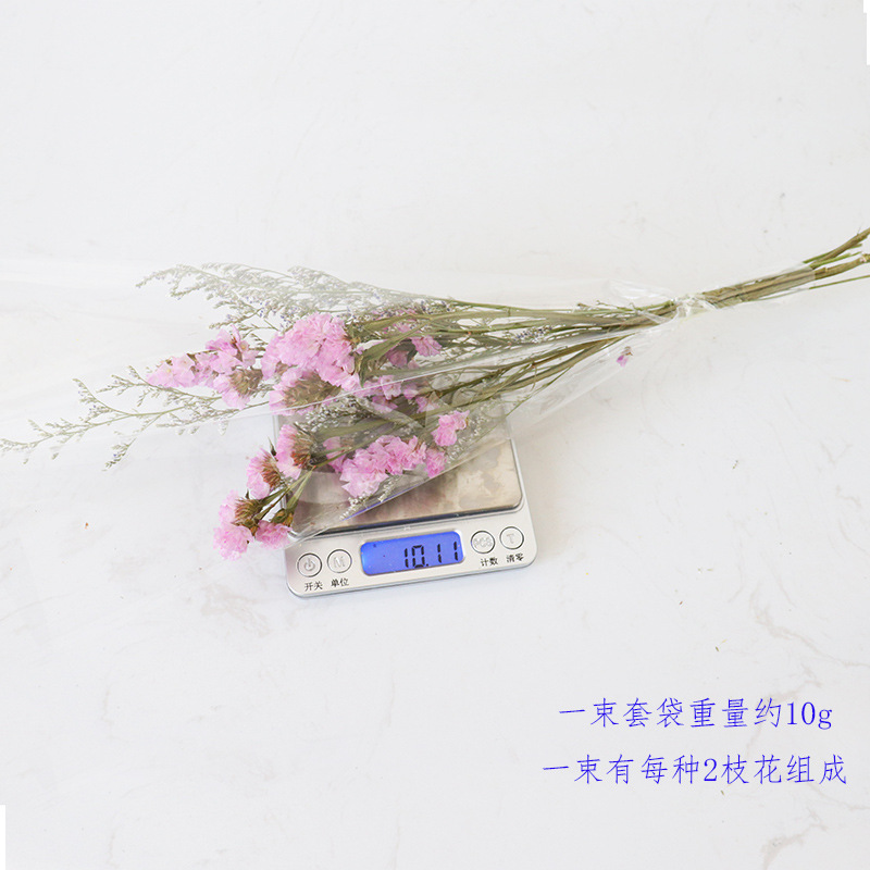 Inserting Flower Hand Fireworks Display Photo Props DIY Limonium Statice Crystal Grass Handmade Real Small Dried Flower