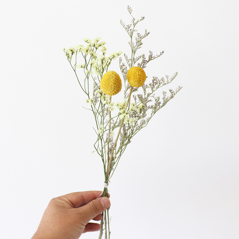 Inserting Flower Hand Fireworks Display Photo Props DIY Limonium Statice Crystal Grass Handmade Real Small Dried Flower Inserting Flower Hand Fireworks Display Photo Props DIY Limonium Statice Crystal Grass Handmade Real Small Dried Flower