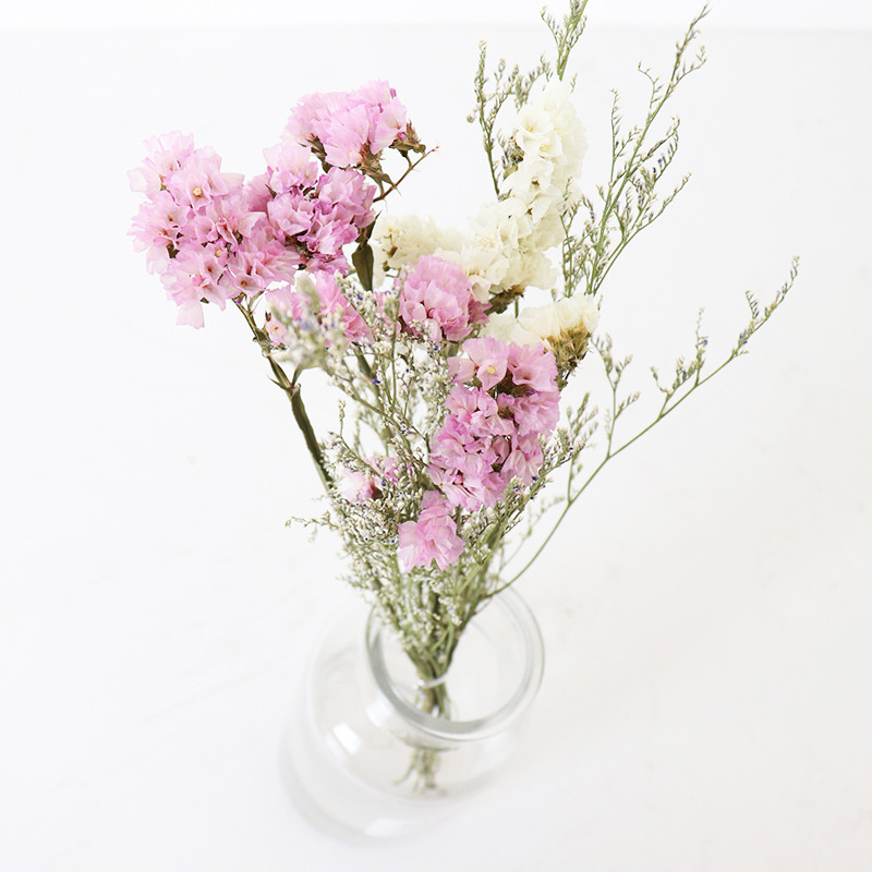 Inserting Flower Hand Fireworks Display Photo Props DIY Limonium Statice Crystal Grass Handmade Real Small Dried Flower Inserting Flower Hand Fireworks Display Photo Props DIY Limonium Statice Crystal Grass Handmade Real Small Dried Flower