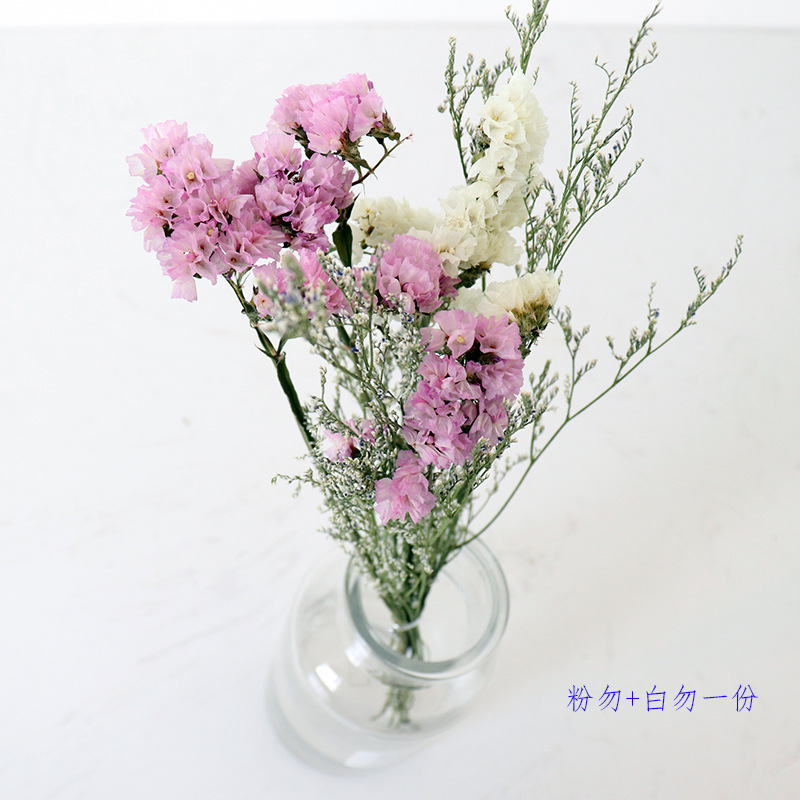 Inserting Flower Hand Fireworks Display Photo Props DIY Limonium Statice Crystal Grass Handmade Real Small Dried Flower Inserting Flower Hand Fireworks Display Photo Props DIY Limonium Statice Crystal Grass Handmade Real Small Dried Flower
