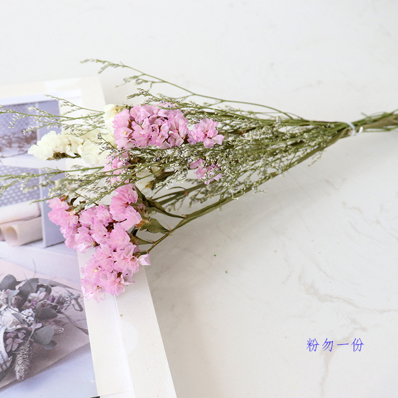 Inserting Flower Hand Fireworks Display Photo Props DIY Limonium Statice Crystal Grass Handmade Real Small Dried Flower Inserting Flower Hand Fireworks Display Photo Props DIY Limonium Statice Crystal Grass Handmade Real Small Dried Flower