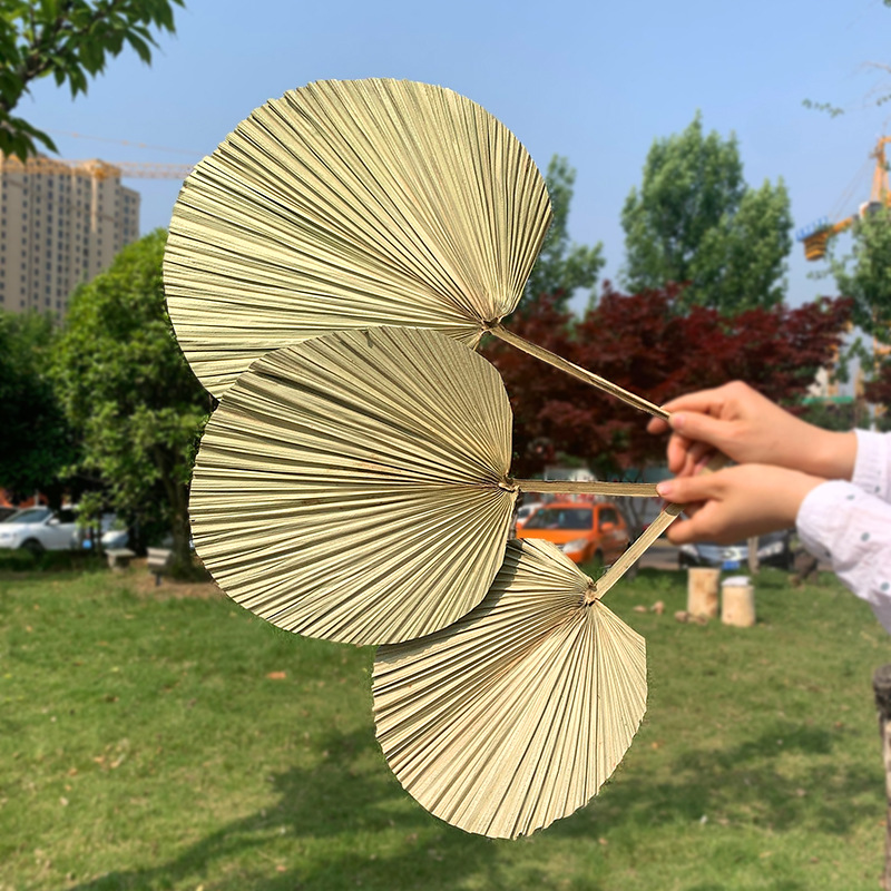 PalmLeaf Fan Leaf Big Dried Flower Palm Leaf Window Wine Party Art Wall Hanging Decoration Wedding Wedding Arch Layout