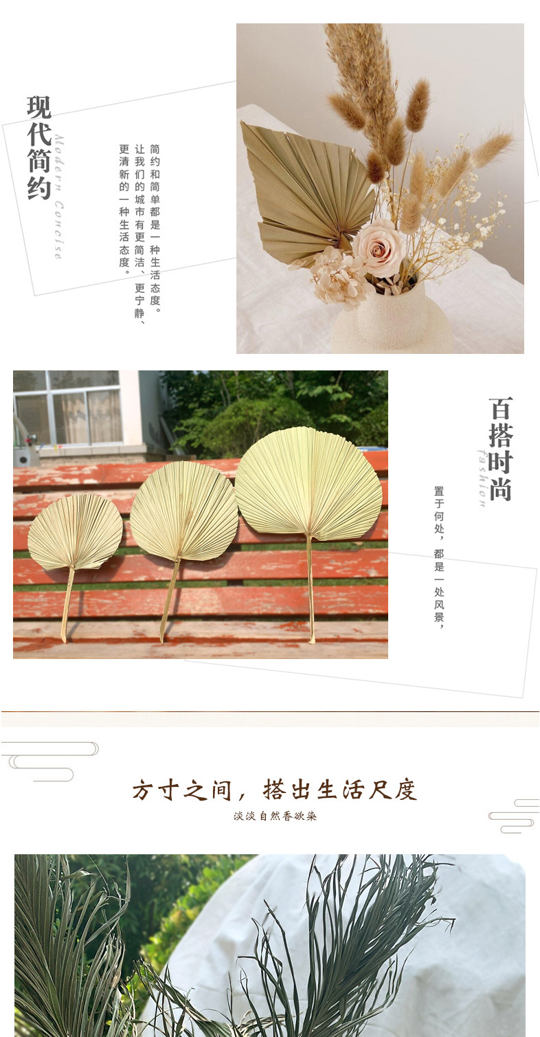 PalmLeaf Fan Leaf Big Dried Flower Palm Leaf Window Wine Party Art Wall Hanging Decoration Wedding Wedding Arch Layout