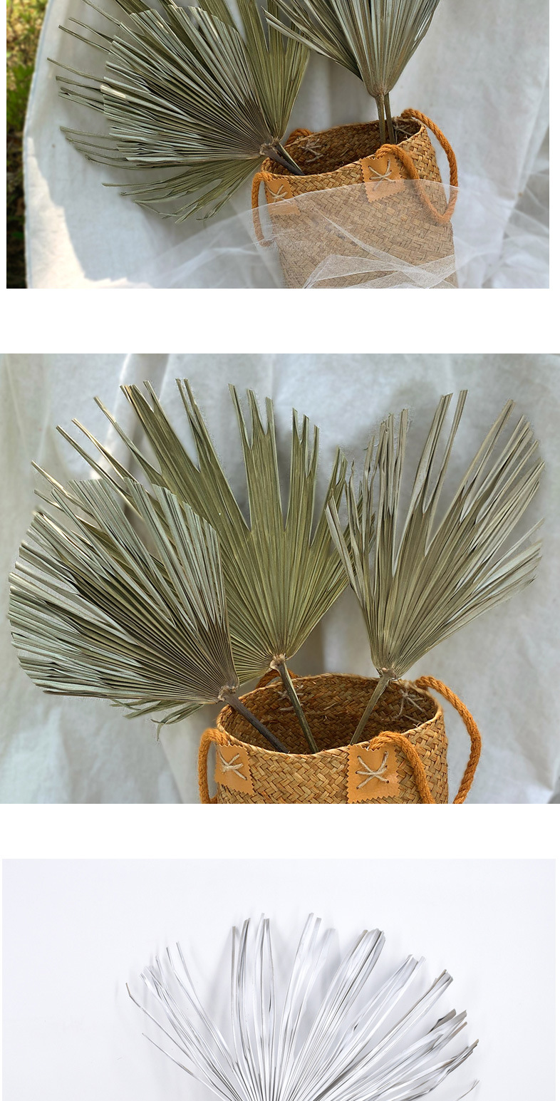 PalmLeaf Fan Leaf Big Dried Flower Palm Leaf Window Wine Party Art Wall Hanging Decoration Wedding Wedding Arch Layout
