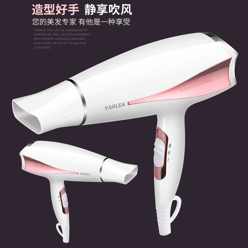 High Power Household Electric Blower Heating and Cooling Air Hair Dryer Hair Salon Hair Dryer CrossBorder Hot Selling