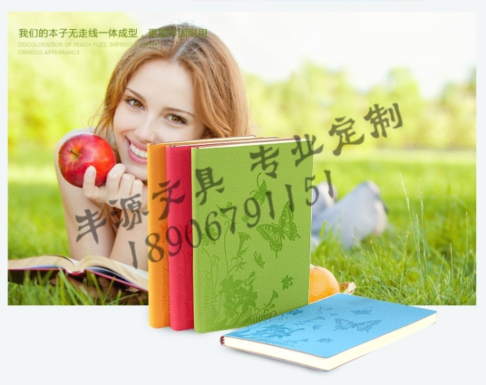 Notebook stationery Notepad A5 business account book diary of this book Notebook stationery Notepad A5 business account book diary of this book