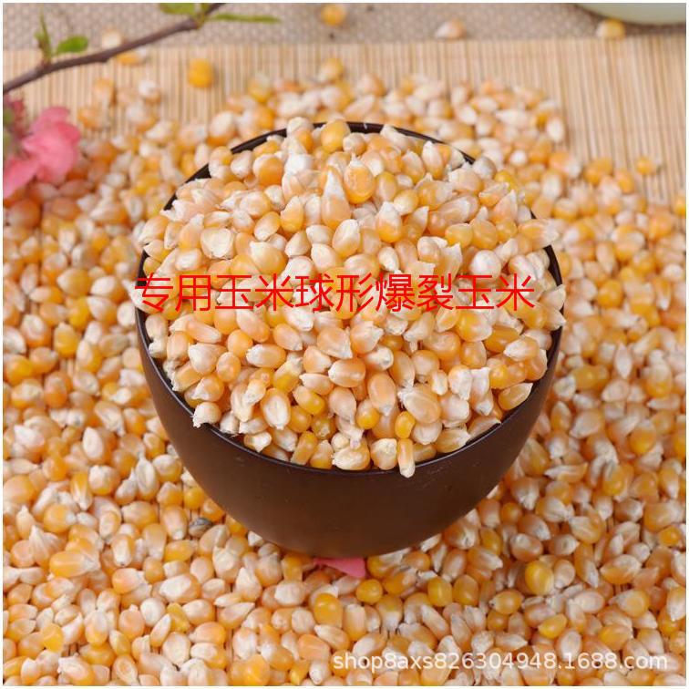 Mini Electric Hot Air Popcorn Machine Household DIY Original Corn Cross-Border Supply Pm1800 Mini Electric Hot Air Popcorn Machine Household DIY Original Corn Cross-Border Supply Pm1800