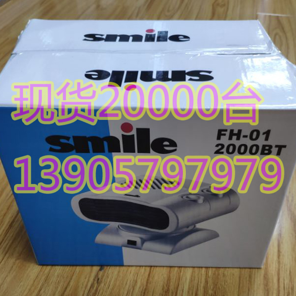  2000W heater fan / electric fan heaters / electric room heaters