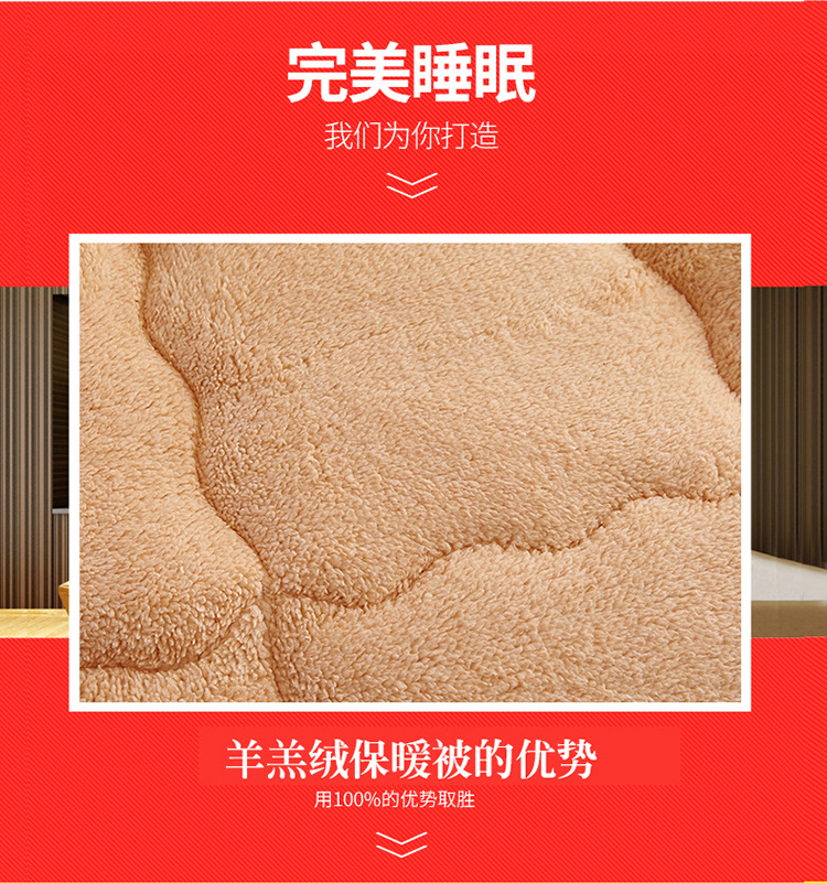 Xiusi Bedding Thick Lambskin Winter Quilt Warm Double-Sided Velvet Flannel Quilt Wool Duvet Insert Factory Wholesale Xiusi Bedding Thick Lambskin Winter Quilt Warm Double-Sided Velvet Flannel Quilt Wool Duvet Insert Factory Wholesale