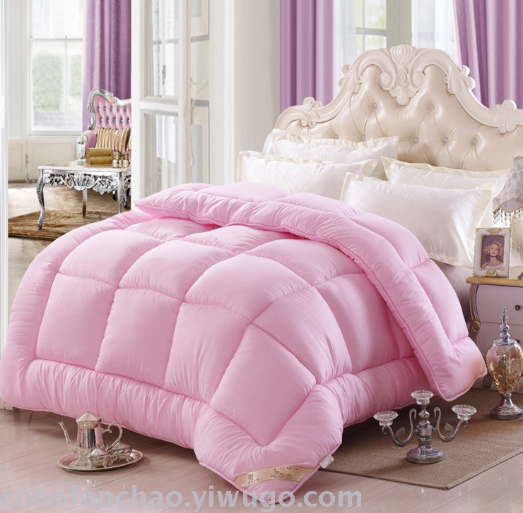 Winter quilt thickened warm quilt quilt core students space quilt spring and autumn special promotion brand promotion