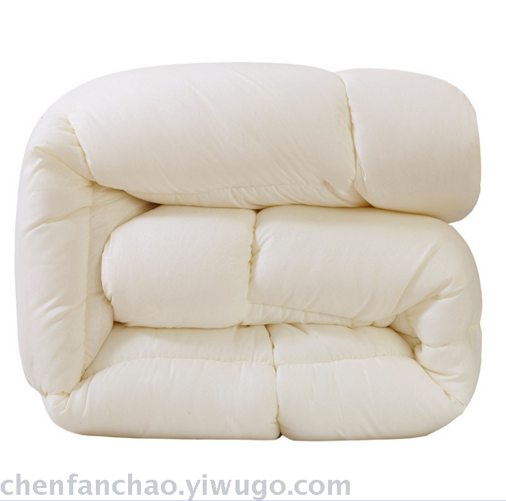 Winter quilt thickened warm quilt quilt core students space quilt spring and autumn special promotion brand promotion
