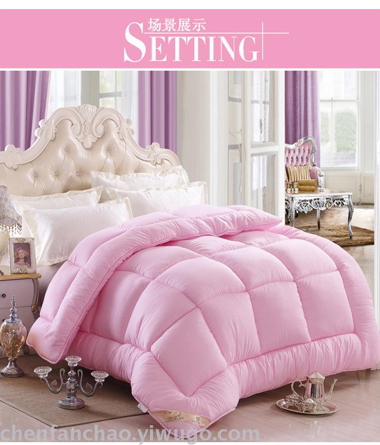 Winter quilt thickened warm quilt quilt core students space quilt spring and autumn special promotion brand promotion Winter quilt thickened warm quilt quilt core students space quilt spring and autumn special promotion brand promotion