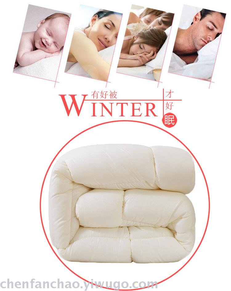 Winter quilt thickened warm quilt quilt core students space quilt spring and autumn special promotion brand promotion Winter quilt thickened warm quilt quilt core students space quilt spring and autumn special promotion brand promotion