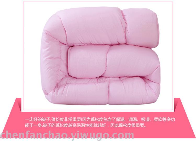 Winter quilt thickened warm quilt quilt core students space quilt spring and autumn special promotion brand promotion Winter quilt thickened warm quilt quilt core students space quilt spring and autumn special promotion brand promotion