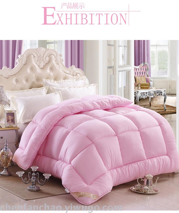 Winter quilt thickened warm quilt quilt core students space quilt spring and autumn special promotion brand promotion Winter quilt thickened warm quilt quilt core students space quilt spring and autumn special promotion brand promotion
