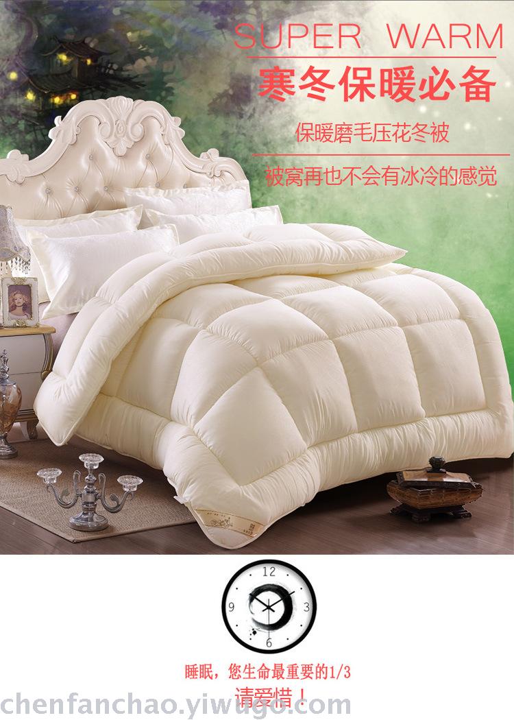 Winter quilt thickened warm quilt quilt core students space quilt spring and autumn special promotion brand promotion Winter quilt thickened warm quilt quilt core students space quilt spring and autumn special promotion brand promotion