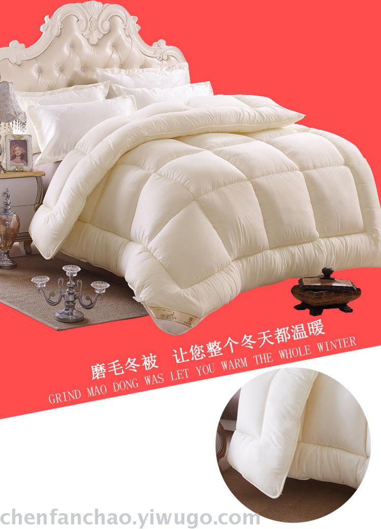 Winter quilt thickened warm quilt quilt core students space quilt spring and autumn special promotion brand promotion Winter quilt thickened warm quilt quilt core students space quilt spring and autumn special promotion brand promotion