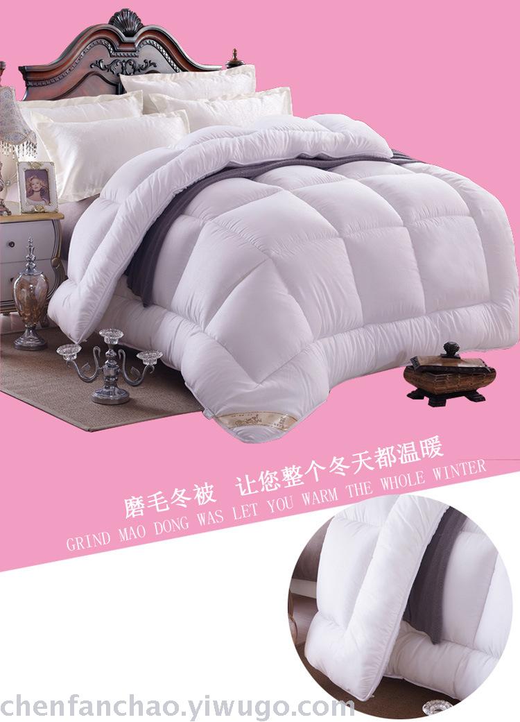 Winter quilt thickened warm quilt quilt core students space quilt spring and autumn special promotion brand promotion Winter quilt thickened warm quilt quilt core students space quilt spring and autumn special promotion brand promotion