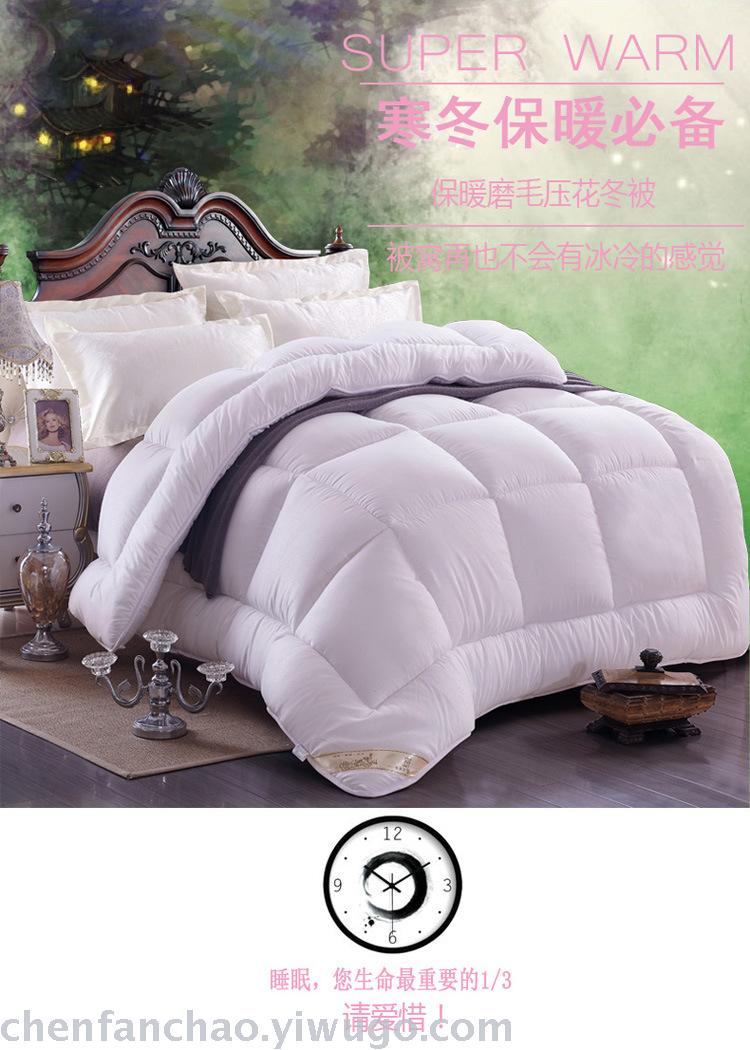Winter quilt thickened warm quilt quilt core students space quilt spring and autumn special promotion brand promotion Winter quilt thickened warm quilt quilt core students space quilt spring and autumn special promotion brand promotion