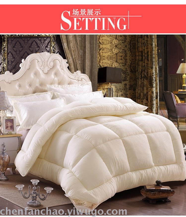 Winter quilt thickened warm quilt quilt core students space quilt spring and autumn special promotion brand promotion Winter quilt thickened warm quilt quilt core students space quilt spring and autumn special promotion brand promotion