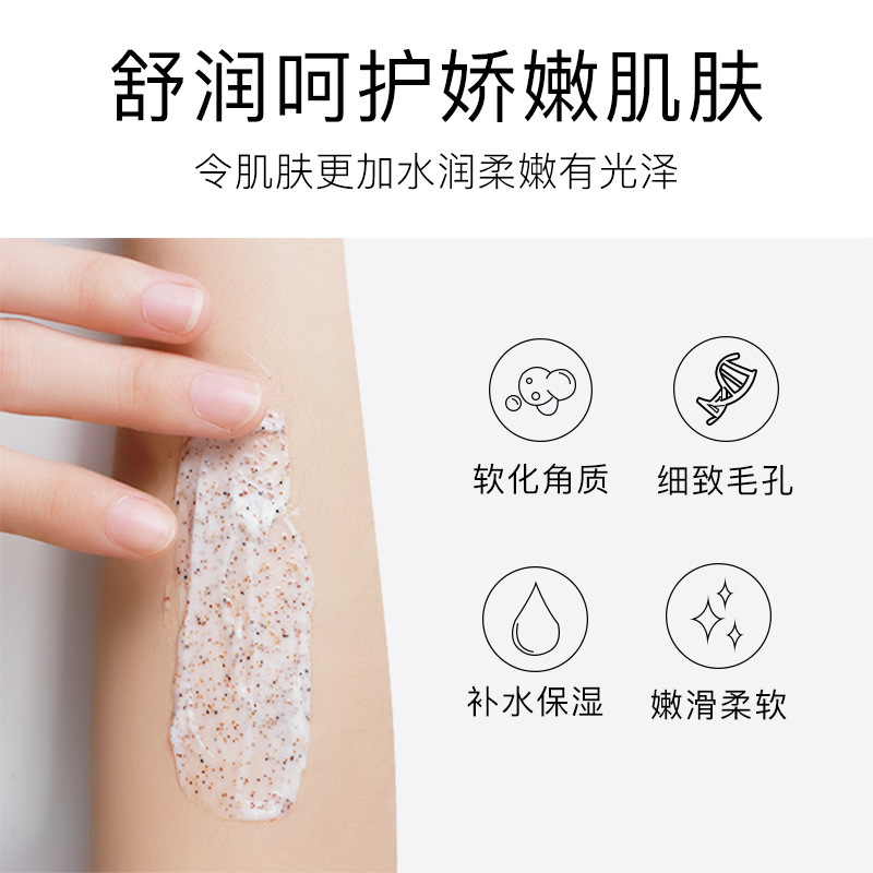 Senana Marina Shea Butter Body Scrub Cream Deep Cleansing Exfoliating Moisturizing Skin Body Cleaning Products Wholesale