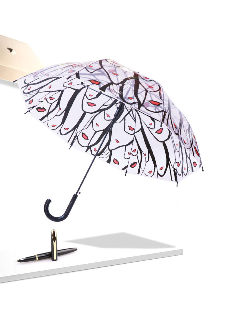 RST913A British birdcage umbrella long handle transparent umbrella Umbrella Tree umbrella art umbrella umbrella
