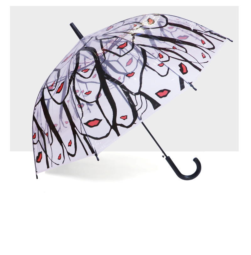 RST913A British birdcage umbrella long handle transparent umbrella Umbrella Tree umbrella art umbrella umbrella