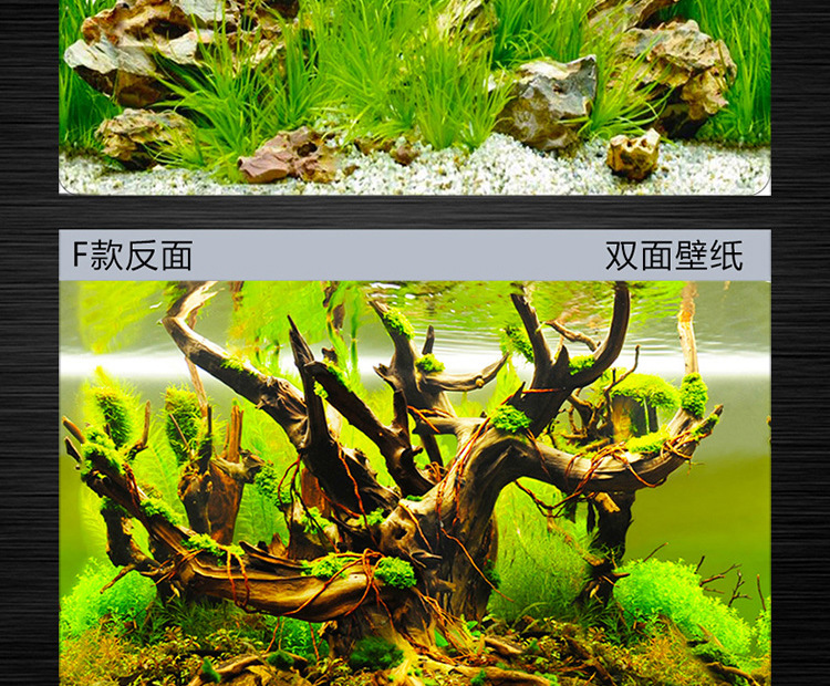 Painting HD Picture 3D Stereo Fish Tank Wallpaper Background Painting DoubleSided Aquarium Decoration Fish Tank Sticker Painting HD Picture 3D Stereo Fish Tank Wallpaper Background Painting DoubleSided Aquarium Decoration Fish Tank Sticker