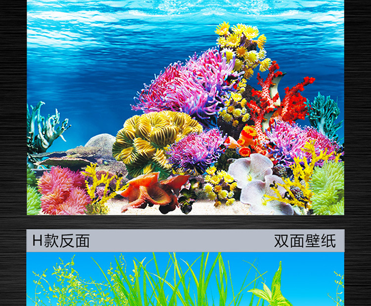Painting HD Picture 3D Stereo Fish Tank Wallpaper Background Painting DoubleSided Aquarium Decoration Fish Tank Sticker Painting HD Picture 3D Stereo Fish Tank Wallpaper Background Painting DoubleSided Aquarium Decoration Fish Tank Sticker