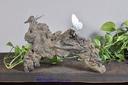 New Chinese-Southeast Asian home decor modern European-American wind technology like Driftwood ornament