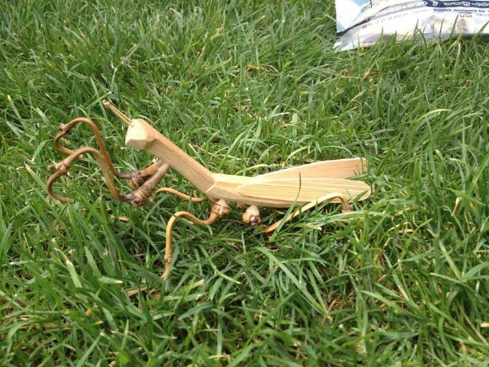 Crafts Small Insect Bamboo Wood Intelligence Toy Bamboo Animal Toy Children&#039;s Toy Mantis