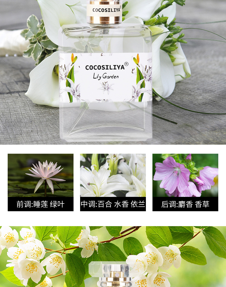 Floral Perfume Osmanthus Rose Lavender Gardenia Light Perfume Long-Lasting Natural Fresh Cosmetics Wholesale Floral Perfume Osmanthus Rose Lavender Gardenia Light Perfume Long-Lasting Natural Fresh Cosmetics Wholesale