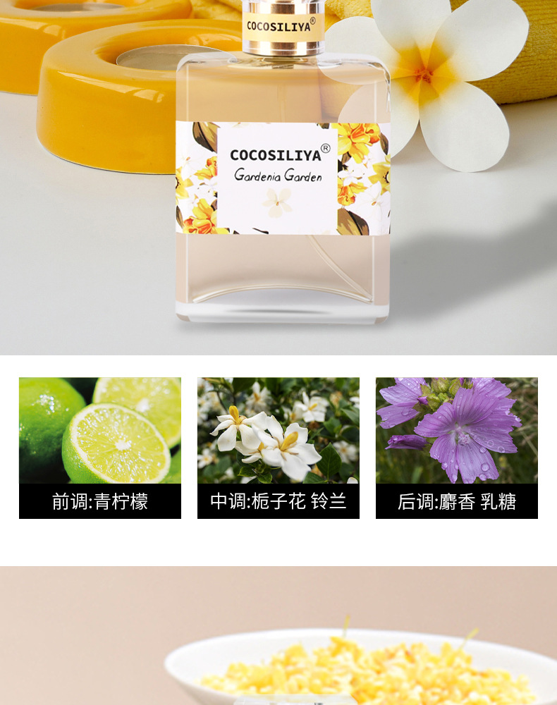 Floral Perfume Osmanthus Rose Lavender Gardenia Light Perfume Long-Lasting Natural Fresh Cosmetics Wholesale Floral Perfume Osmanthus Rose Lavender Gardenia Light Perfume Long-Lasting Natural Fresh Cosmetics Wholesale