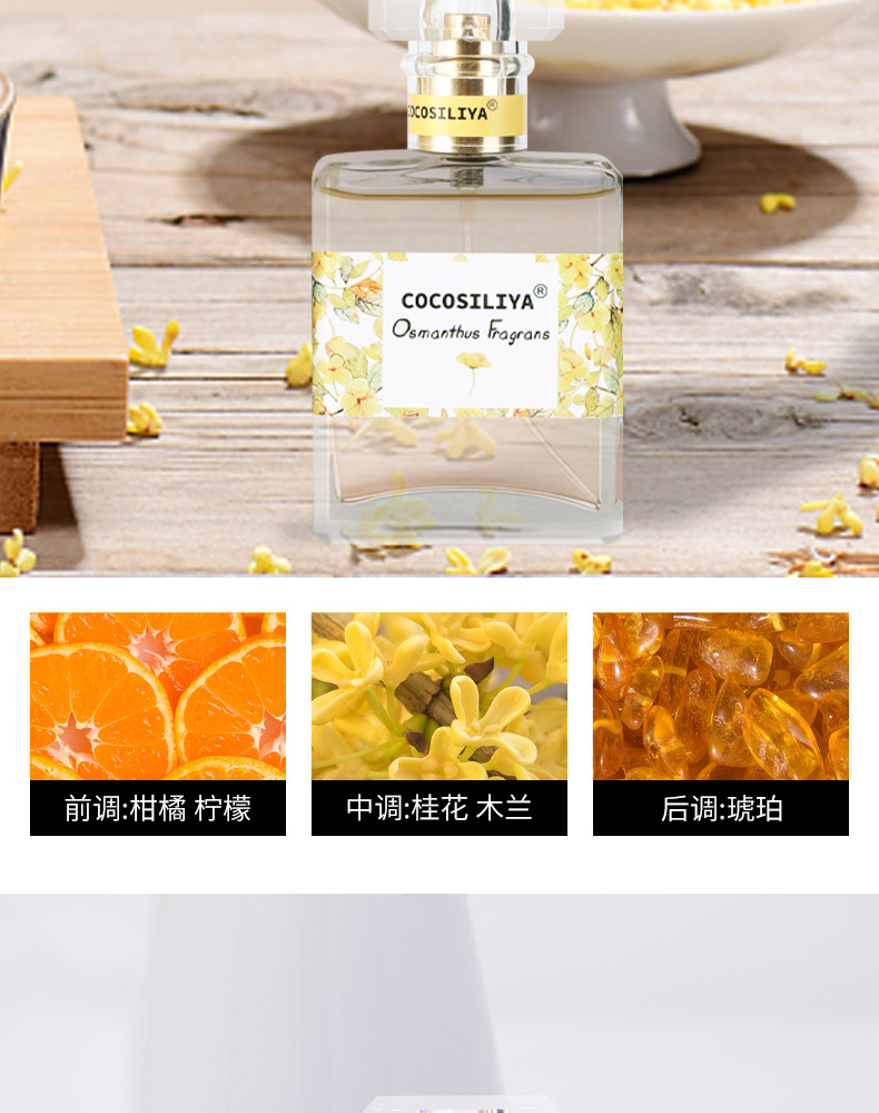 Floral Perfume Osmanthus Rose Lavender Gardenia Light Perfume Long-Lasting Natural Fresh Cosmetics Wholesale Floral Perfume Osmanthus Rose Lavender Gardenia Light Perfume Long-Lasting Natural Fresh Cosmetics Wholesale