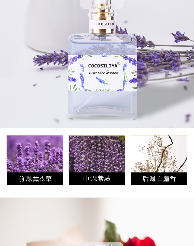 Floral Perfume Osmanthus Rose Lavender Gardenia Light Perfume Long-Lasting Natural Fresh Cosmetics Wholesale Floral Perfume Osmanthus Rose Lavender Gardenia Light Perfume Long-Lasting Natural Fresh Cosmetics Wholesale