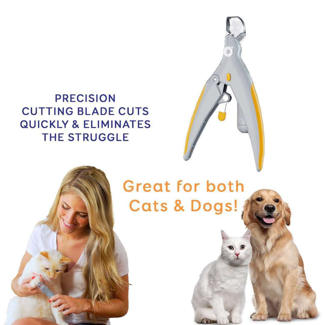 Dog nail scissors pet cat and dog nail clippers with led lights Dog nail scissors pet cat and dog nail clippers with led lights