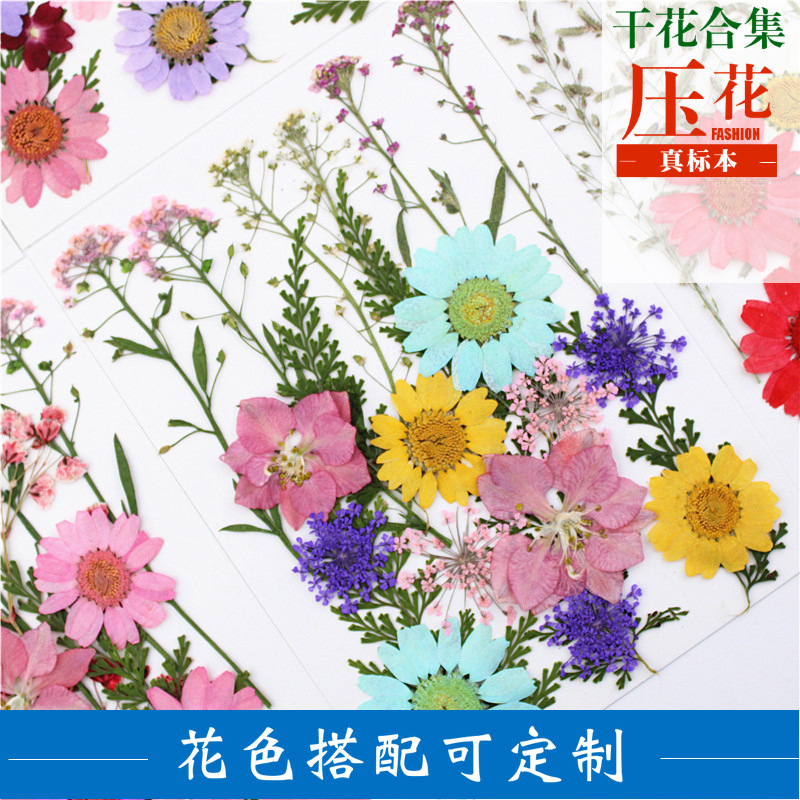 Pressed Flower Embossed Dried Flower Embossing Material Package Leaves Stickers Real Flower Real Plant Specimen