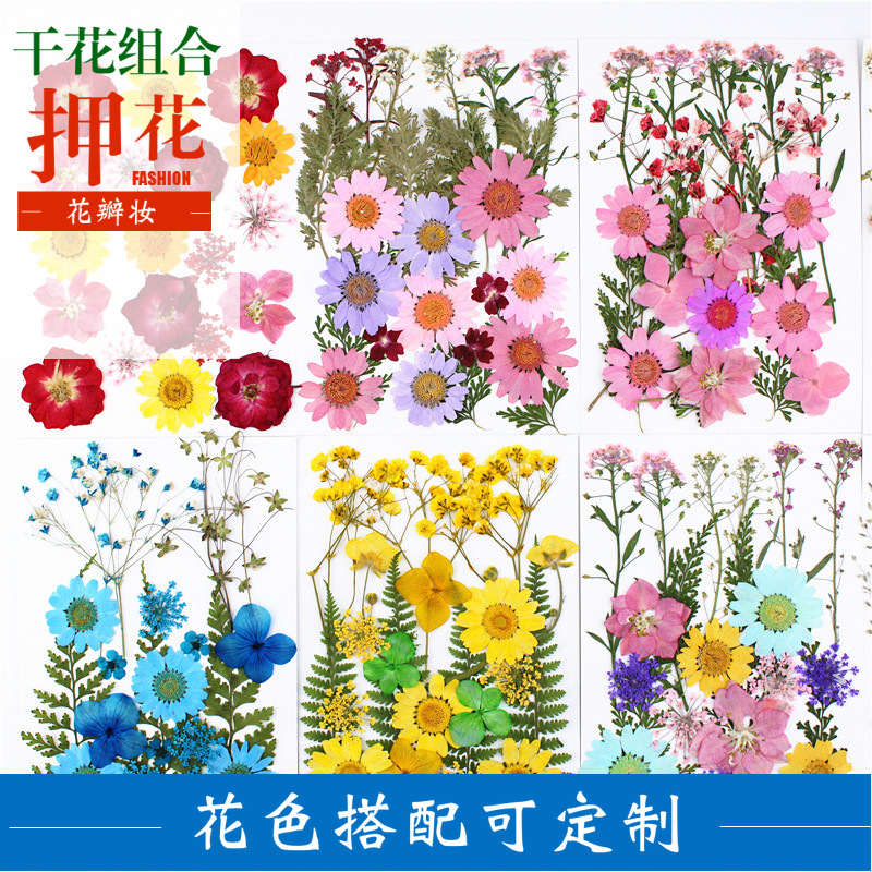 Pressed Flower Embossed Dried Flower Embossing Material Package Leaves Stickers Real Flower Real Plant Specimen