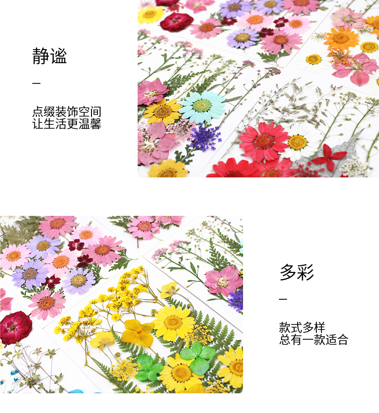 Pressed Flower Embossed Dried Flower Embossing Material Package Leaves Stickers Real Flower Real Plant Specimen