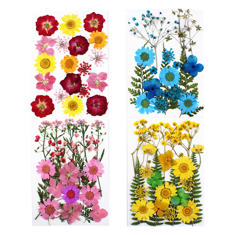 Pressed Flower Embossed Dried Flower Embossing Material Package Leaves Stickers Real Flower Real Plant Specimen