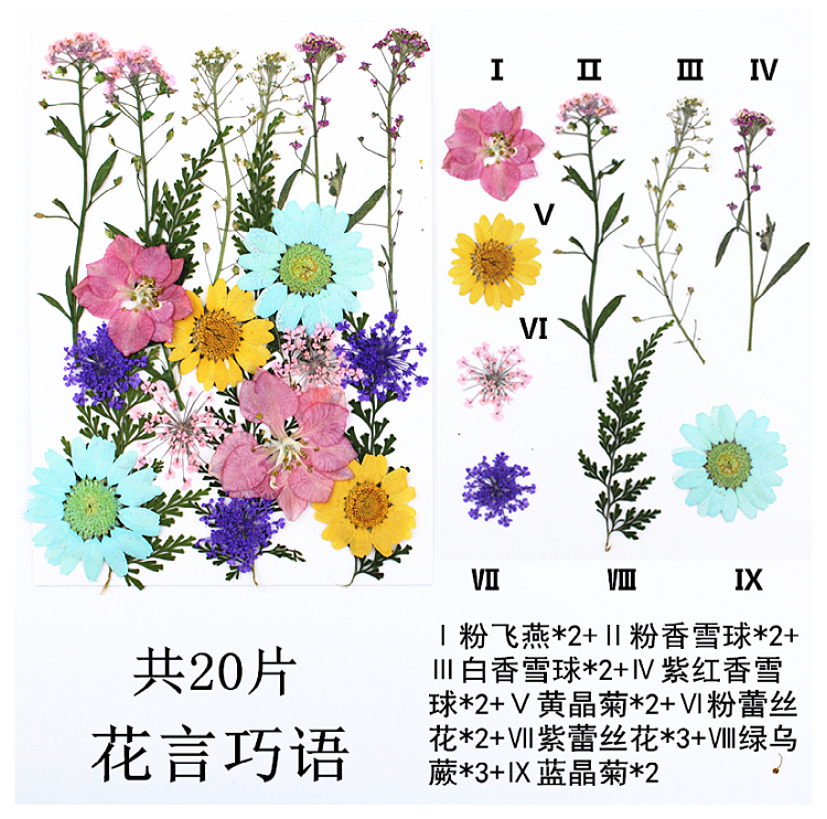 Pressed Flower Embossed Dried Flower Embossing Material Package Leaves Stickers Real Flower Real Plant Specimen