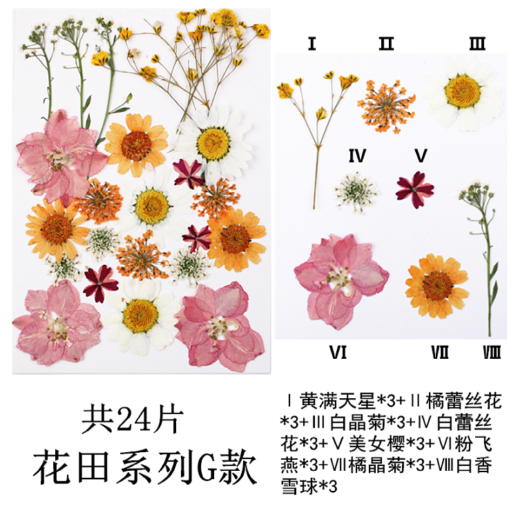 Pressed Flower Embossed Dried Flower Embossing Material Package Leaves Stickers Real Flower Real Plant Specimen