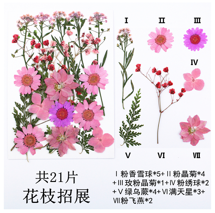 Pressed Flower Embossed Dried Flower Embossing Material Package Leaves Stickers Real Flower Real Plant Specimen