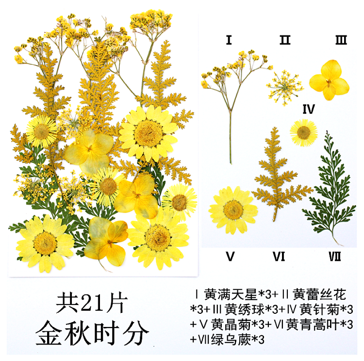 Pressed Flower Embossed Dried Flower Embossing Material Package Leaves Stickers Real Flower Real Plant Specimen