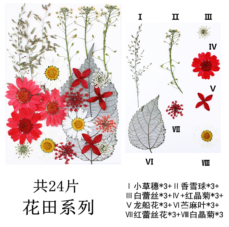 Pressed Flower Embossed Dried Flower Embossing Material Package Leaves Stickers Real Flower Real Plant Specimen