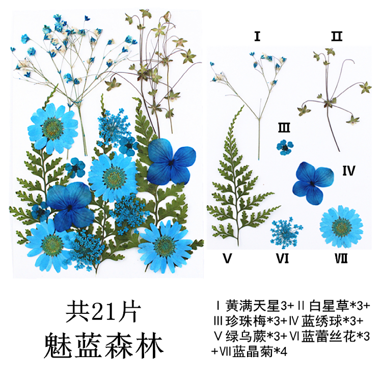 Pressed Flower Embossed Dried Flower Embossing Material Package Leaves Stickers Real Flower Real Plant Specimen
