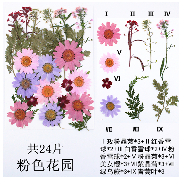 Pressed Flower Embossed Dried Flower Embossing Material Package Leaves Stickers Real Flower Real Plant Specimen