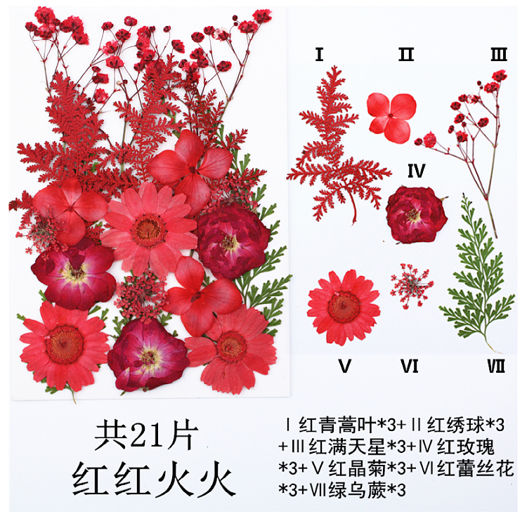 Pressed Flower Embossed Dried Flower Embossing Material Package Leaves Stickers Real Flower Real Plant Specimen